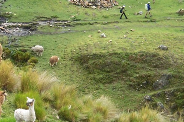 Alternative trek to Machupicchu