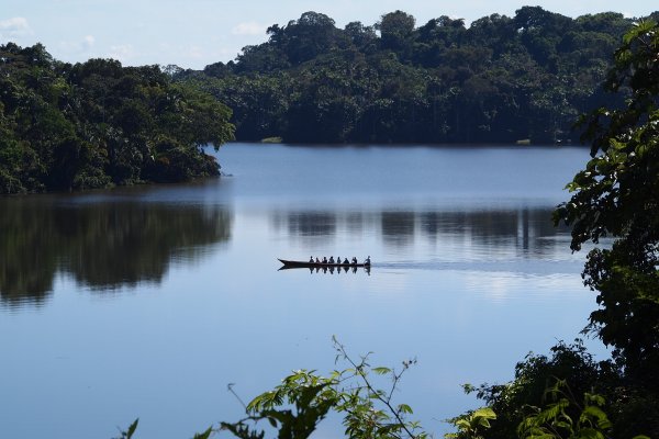 Tambopata National Reserve