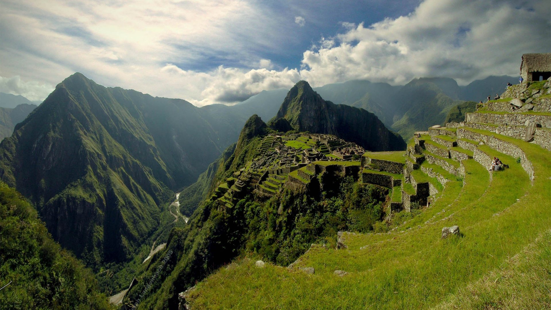 Amazon Rainforest