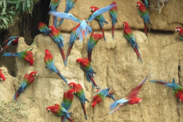 Tours in and Around Cusco