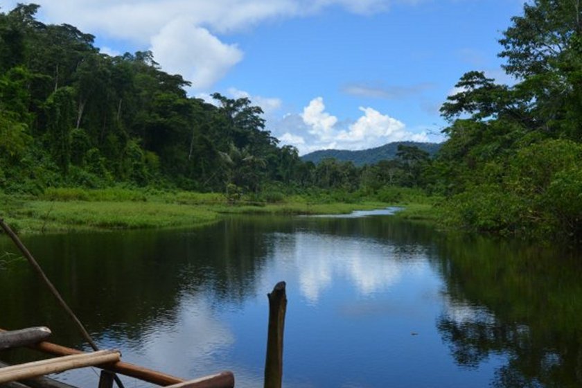 Manu National Park 4 days tour Top Offers 2026